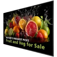 Philips 98BDL5050D - 98" Diagonal klass (97.5" visbar) - 5000 Series LED-bakgrundsbelyst LCD-skärm - digital skyltning - Android - 4K UHD (2160p) 3...