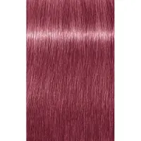 Schwarzkopf Professional Igora Vibrance Kit 9.5-98 Violett Röd Toner 60ml+60ml