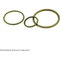 Lapp 52122070 SKINDICHT O-RING M63/57X2 VITON M63 Nitril-butadiengummi Grön 25 st