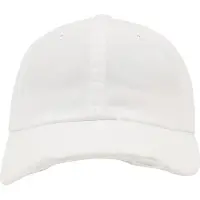 Flexfit Low Profile Detroyed Keps