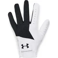Under Armour Träningshandskar UA Medal Golf Glove-BLK 1349705-001