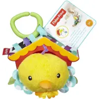 Fisher-Price Everything Baby DFP95, Låter, Multifärg