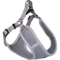 Nobby 80623-81, Hund, Haltersele, XXS, Grå, Monokromatiskt, 28 cm