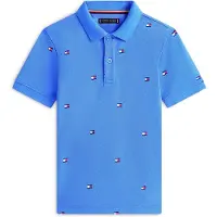 Tommy Hilfiger Regular Fit Wavy Flag Embroidery Polo Shirt
