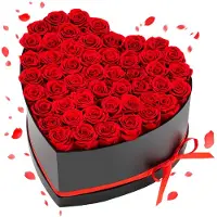 Vevor Forever Flowers, 50 konserverade rosor i en hjärtformad ask, Eternal Flowers Immortal Bukett Födelsedagspresent för leverans Prime Women Her Wife Mothers, Jubileum, Alla hjärtans dag, Jul, Röd