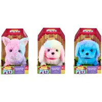 Happy Pets Färgglad Cutie Pal 3 assorterad
