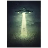 Edelweiss Art Poster Studio UFO lyser konstigt i mörkret Serie TV-filmaffisch Utomjordisk rymdfarkost Människor Forskning Bilder Vägg Canvaskonst Dekor 60x80cm No Framed
