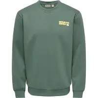 Only & Sons Sweatshirt 'ONSLUCCA ALOHA' gul / gran / lax / vit
