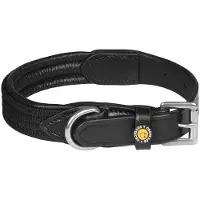 Equestro Web Hundhalsband