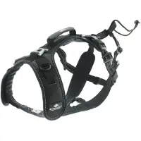 IDog Raidlight Hundsele