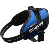 JULIUS K-9 Idc Power Mini Hundsele