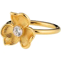 Lumoava Anna ring L62263830170