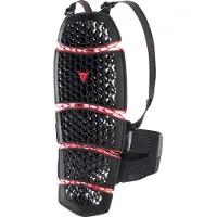 Dainese Pro Armor 2.0 Long Ryggskydd