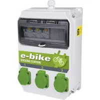 Pce 9134248 Laddare för elcykel