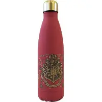 Harry Potter Rostfritt Stål Hogwarts Flaska 500ml