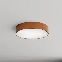 TEMAR LIGHTING Taklampa med rörelsesensor Cleo 400 , Koppar, Hall, Metall, Modern, Taklampa med rörelsedetektor