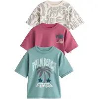 Next T-shirt ecru / blå / ljusgrå / bär