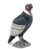 Papo Condor - H: 8 cm - - One Size - Leksaksdjur