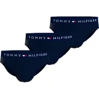 Tommy Hilfiger 3 Pack TH Original Logo Waistband Briefs