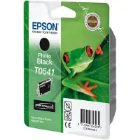 Epson T0541 fotosvart bläckpatron (original)