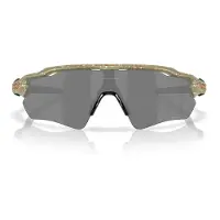 Oakley Radar EV Path, PRIZM, Matte Fern Terrazzo