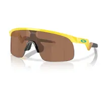 Oakley Resistor Solglasögon