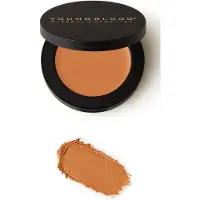 Youngblood Ultimate Concealer 2,8 g - Tan Deep