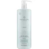 Paul Mitchell Awapuhi Wild Ginger Cream Rinse 1000 ml