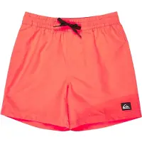 Quiksilver Everyday Volley 14´´ Simshorts