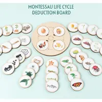 Fashnics Livscykelbräda Montessori-kit Biologi Vetenskap Utbildningsleksaker För Barn Sensorisk Bricka Djurfigur Livscykel Sortering Träleksak
