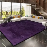 JGJG Modern Abstrakt Dekoration Hemmatta Enfärgad Halkfri Stor Vardagsrumsmatta Tvättbar Entrédörrmatta Lätt Rengöring Mjuk 120*160cm