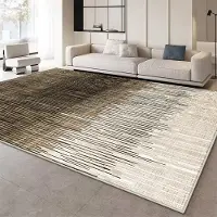 JGJG Moderna Lätt Lyx Mattor för Vardagsrum Fluffig Mjuk Lounge Abstrakt Matta Stor Yta Sovrumsinredning Matta Hem Plysch Golvmatta 100*160cm