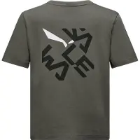 Salewa Graphic T-shirt Med Korta ärmar