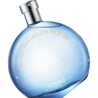 Hermès Paris Eau Des Merveilles Bleue Eau de Toilette 100 ml