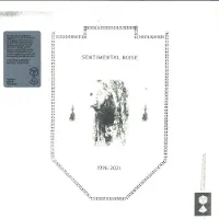 Jagjaguwar Sentimental Noise