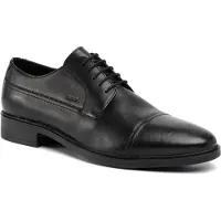 Geox Gladwin B Skor
