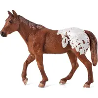 MOJO F7150 - GOOD - Chestnut Appaloosa hingst