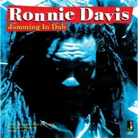 Bigwax Dis Cnt Davis Ronnie: Jamming in Dub