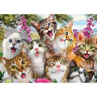 Adlibris Cat Selfie Pussel 500 bitar Schmidt
