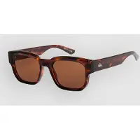 Quiksilver Time Box Shiny Tortoise Solglasögon brown