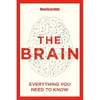 The Brain