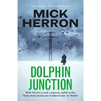 DOLPHIN JUNCTION