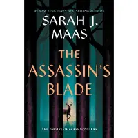 Mördarens dolk av Sarah J. Maas Inbunden Bok 9781639731084
