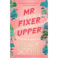 Mr Fixer Upper