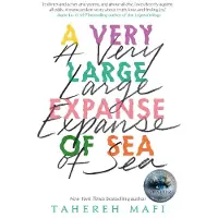 A Very Large Expanse of Sea