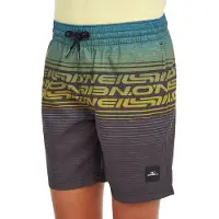 O'Neill Logo Stripe Simshorts