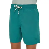 O'Neill Vert Simshorts
