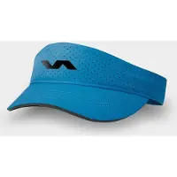 Varlion Coorporate Visir