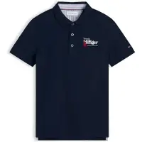 Tommy Hilfiger Regular Fit Graphic Embroidery Polo Shirt