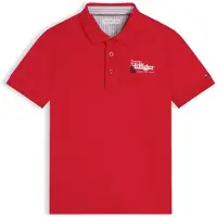 Tommy Hilfiger Regular Fit Graphic Embroidery Polo Shirt